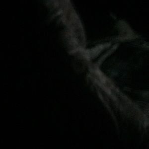 Meet your Posher, Noah